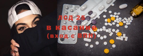 прущие грибы Карталы