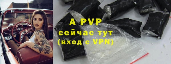 стафф Касимов