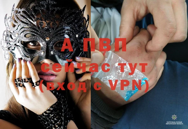 прущие грибы Карталы