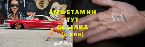 стафф Касимов