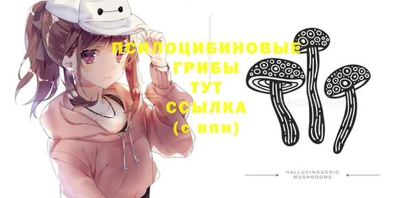 прущие грибы Карталы