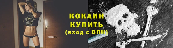 стафф Касимов