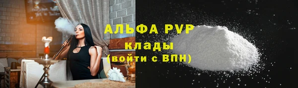 прущие грибы Карталы