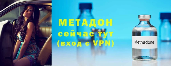 прущие грибы Карталы