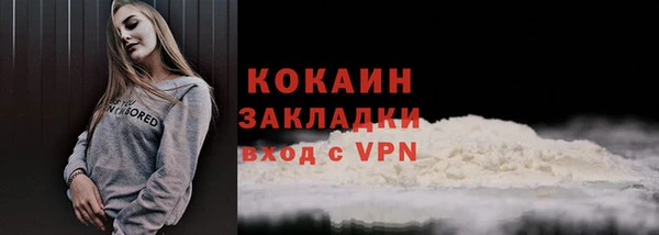 стафф Касимов