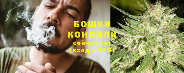 мет Карпинск
