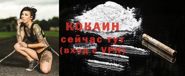 стафф Касимов
