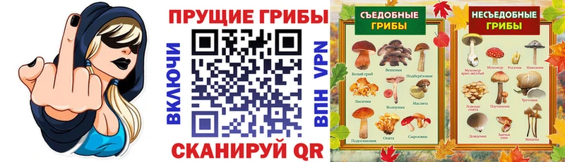 Галлюциногенные грибы MAGIC MUSHROOMS  Черепаново 
